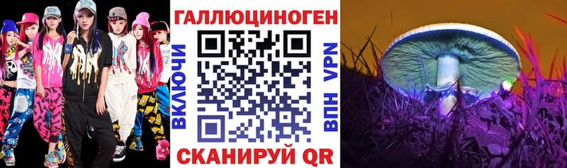 Псилоцибиновые грибы Psilocybine cubensis  Заринск 